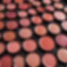 A close-up of various blush shades arranged aesthetically