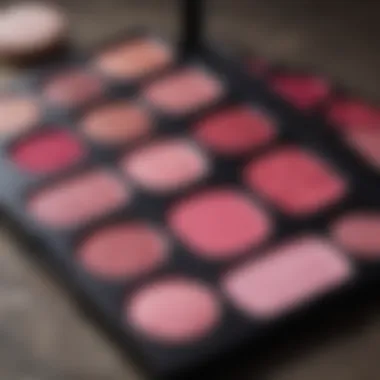 Vibrant dark pink makeup palette showcasing different shades