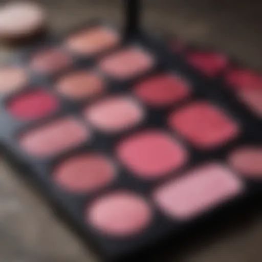 Vibrant dark pink makeup palette showcasing different shades