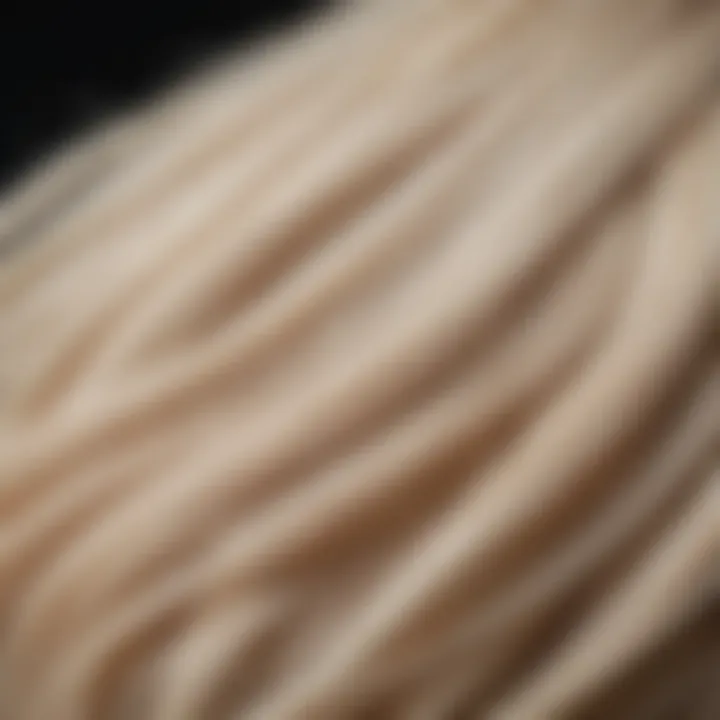 A close-up of hair strands undergoing the bleaching process with a focus on the texture.