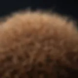 Close-up of frizzy hair strands illuminated by natural light