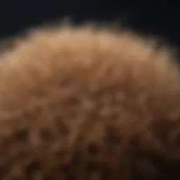 Close-up of frizzy hair strands illuminated by natural light