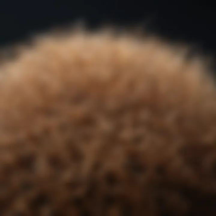 Close-up of frizzy hair strands illuminated by natural light