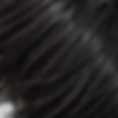 Close-up of Hair Texture with Highlights Close-up of the texture in highlighted black hair