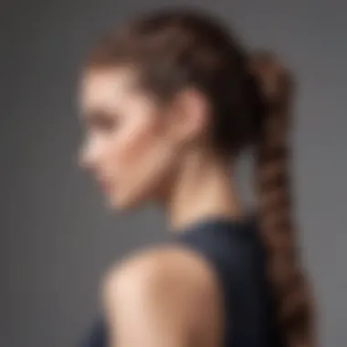 Sophisticated braided ponytail featuring intricate details.